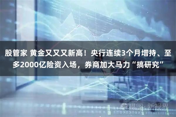 股管家 黄金又又又新高！央行连续3个月增持、至多2000亿险资入场，券商加大马力“搞研究”