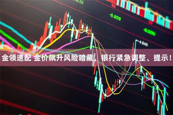 金领速配 金价飙升风险暗藏，银行紧急调整、提示！